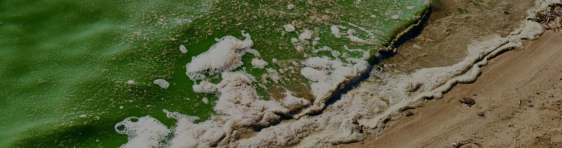 Phosphorus removal in wastewater treatment