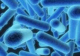 Legionella in Water