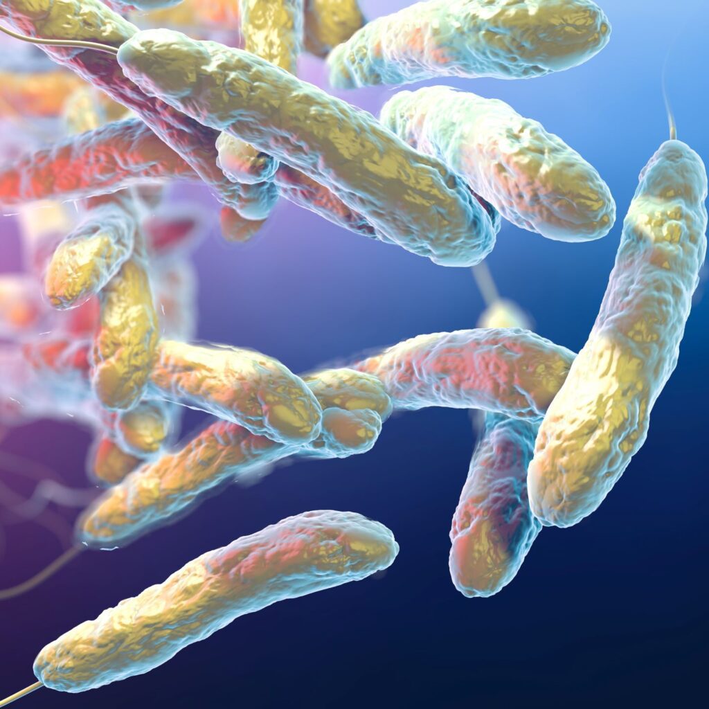 Legionella in Cooling Tower Water Solutions